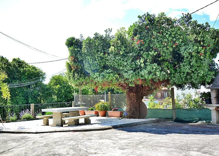 Apartment Aires De Lavanda